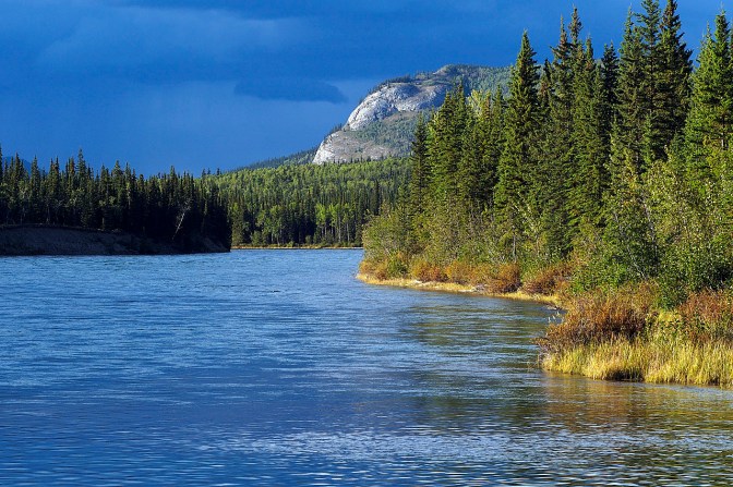 Looking north on the 30 Mile River, the section of the Yukon River between Lake Laberge and Hootalinqua.