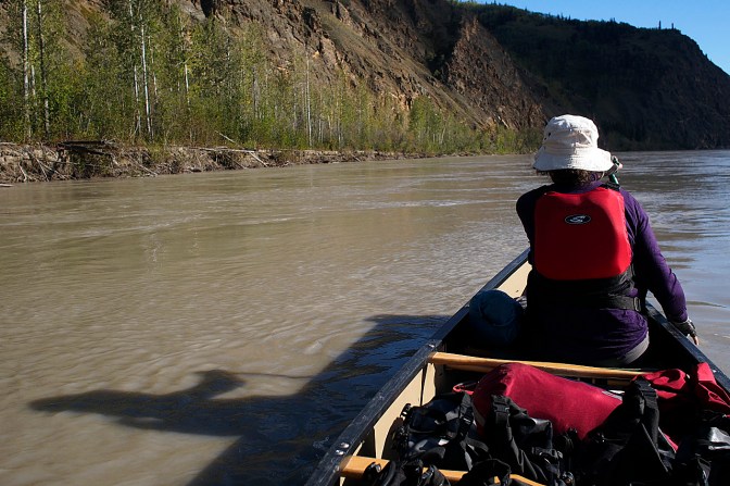 Below the White River, the Yukon becomes a muddy River.