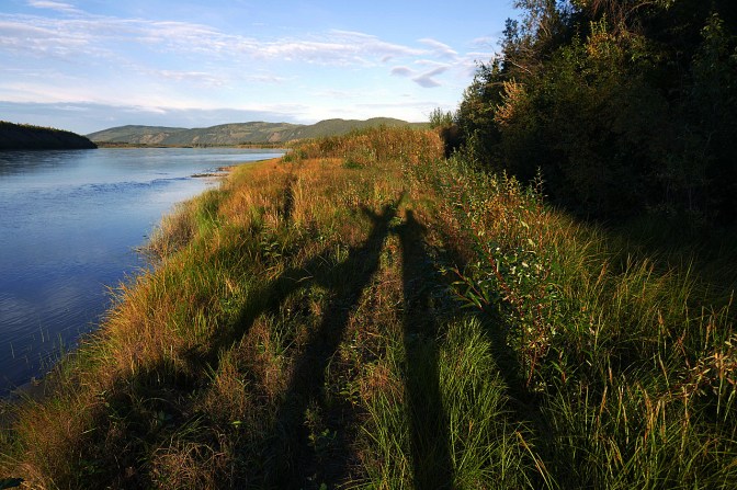 Sunset shadow dance.