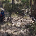 About a Horse Trail And Its Trials