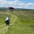 Postcard from Bucharest